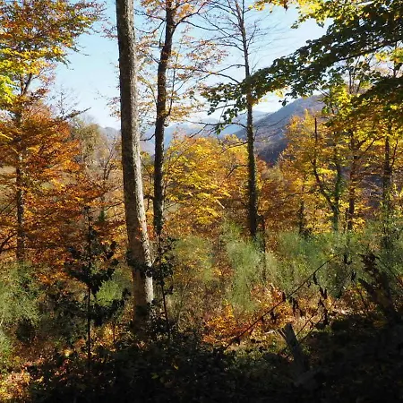 Appartement & Senderismo